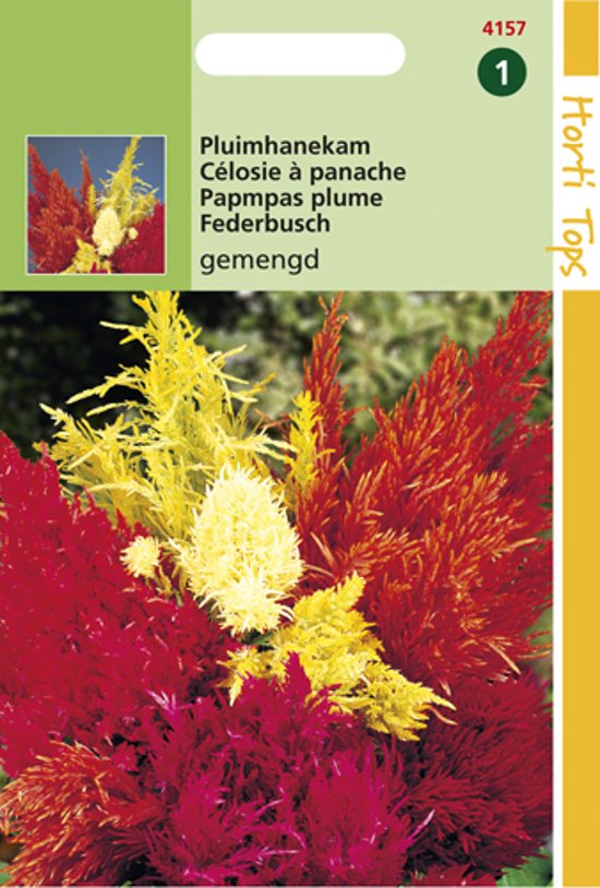 Plumed cockscomb mix (Celosia) 750 seeds